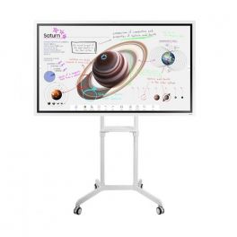 Samsung Flip 4 65'' + soporte Neomounts 